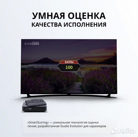 Караоке Evobox + микрофоны