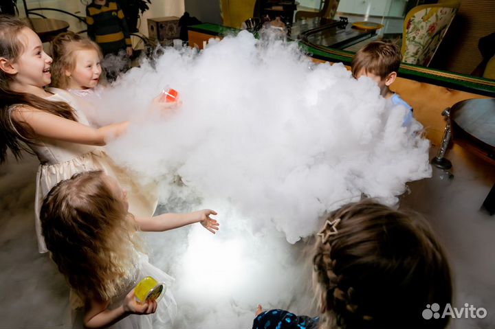 Аниматор / Химическое шоу / Крио шоу / Тесла шоу