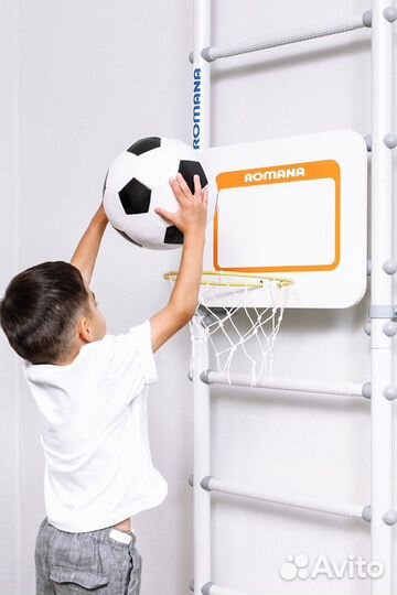 Баскетбольный щит