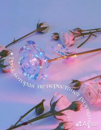 Вечная сияющая роза