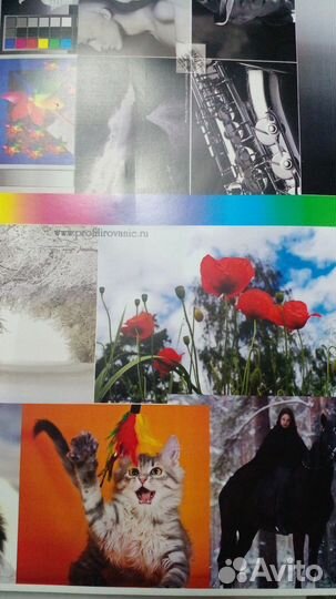 Цветной лазерный принтер мфу