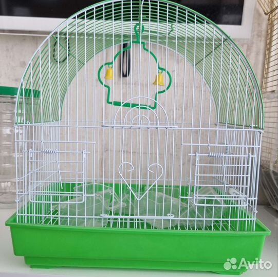 Зебровые амадины с клеткой