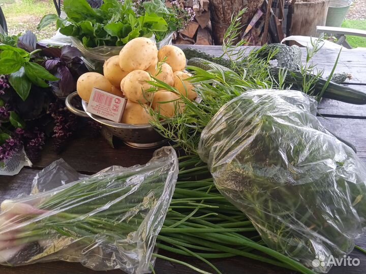 Продам картофель с доставкой