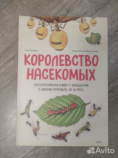 Королевство насекомых миф