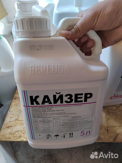 Кайзер протравитель