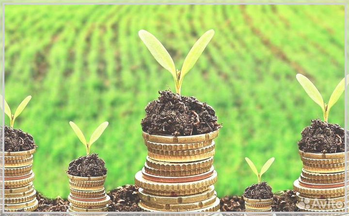 Инвестор/ Пассивный доход до 50%