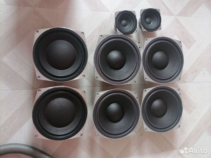 Динамики