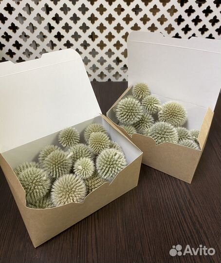 Мордовник шарики с доставкой