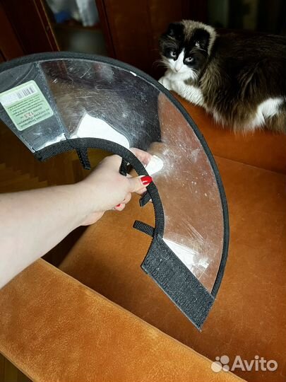 Защитный воротник для кошек 12.5 см б/у