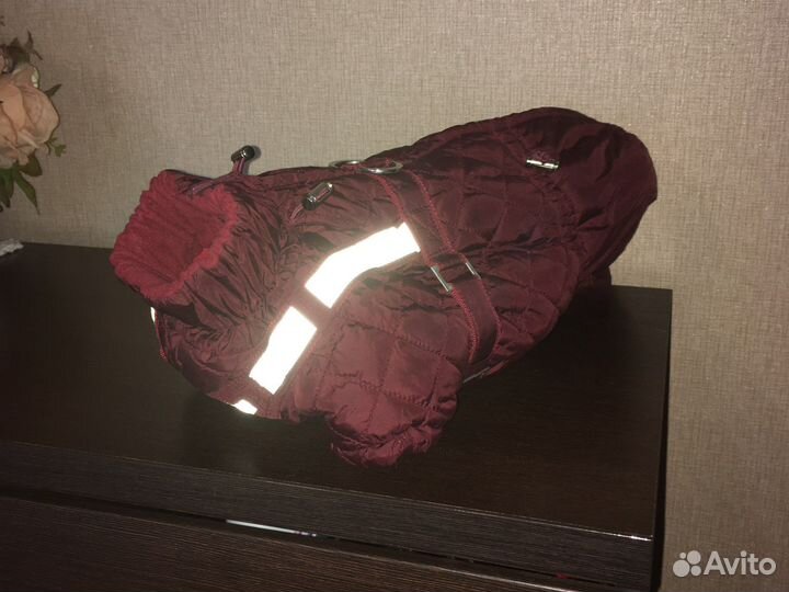 Одежда для кроличьей таксы