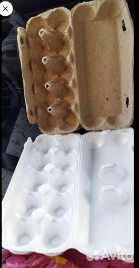 Лотки для куриных яиц