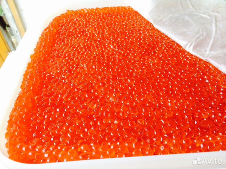 Икра красная (кета,чавыча) Камчатка