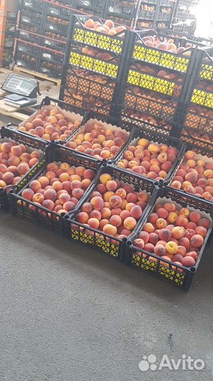 Готовый бизнес овощи- фрукты