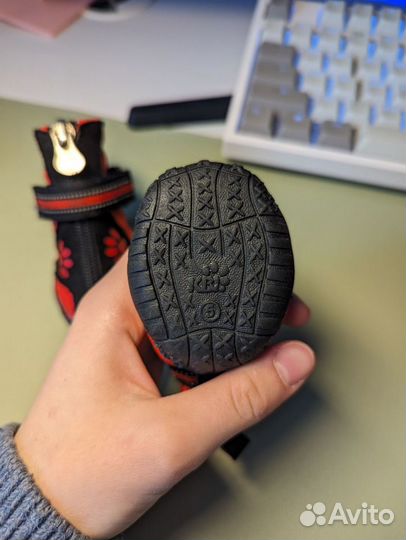 Обувь для собак любого размера