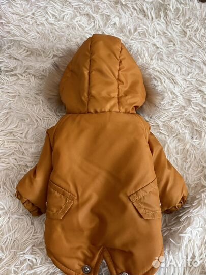 Одежда на собаку