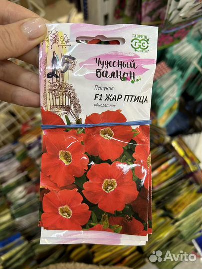 Семена петунии