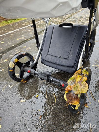 Коляска 2 в 1 adamex chantal