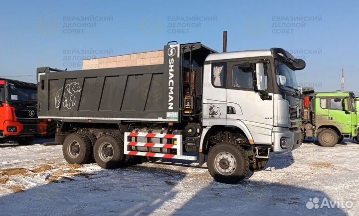 Shacman (Shaanxi) SX32586V385, 2024