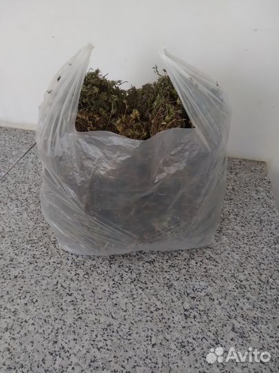 Лекарственные травы