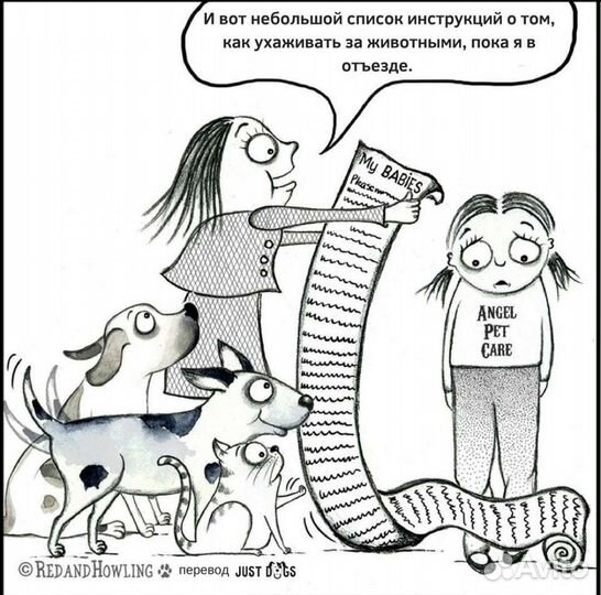 Передержка. Зоогостиница