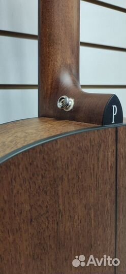 Гитара акустическая Parkwood S22M-NS