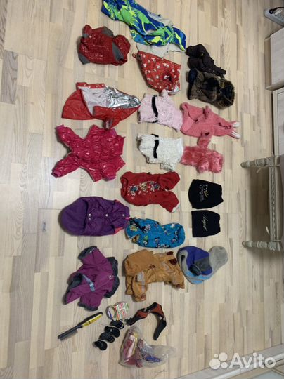 Одежда для собак мелких пород