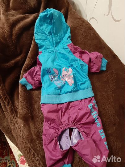 Комбинезон для средней породы собаки