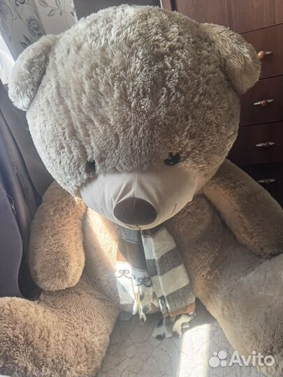 Плюшевый медведь большой
