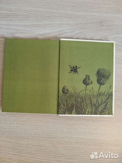 Книга лекарственные растения в быту 1989г