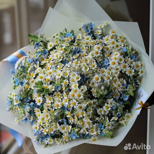 Ромашки полевые,доставка букетов