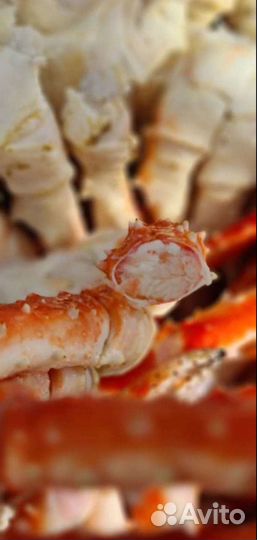 Краб Камчатский