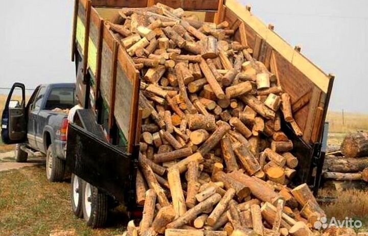 Дрова с Выборга