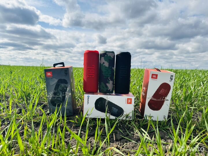 Колонка JBL Flip 6