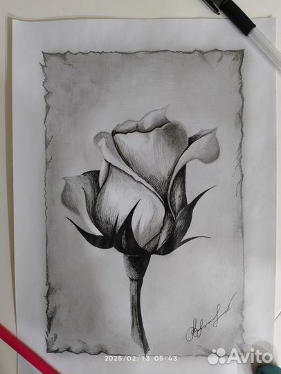 Рисунок А4, карандаш, гелиевая ручка