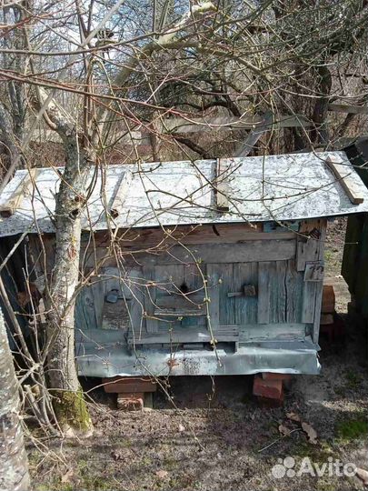 Продам ульи (пчел)