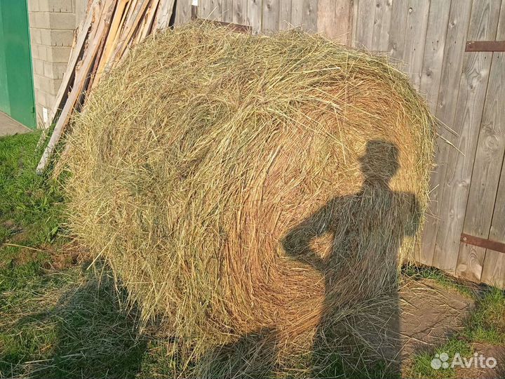 Прессовка сена