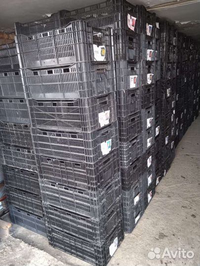 Ящики пластиковые