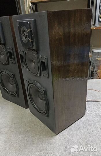 Акустические колонки Вега 106