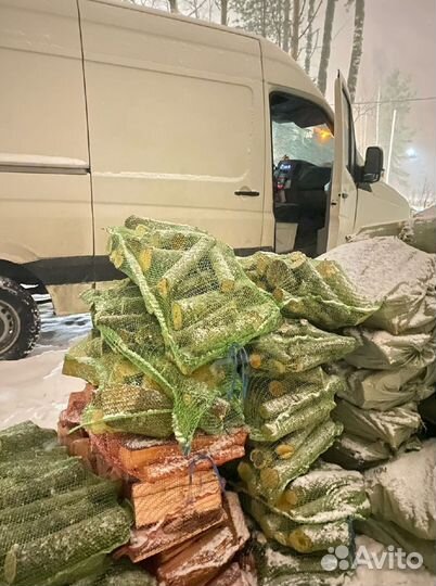 Дрова колотые
