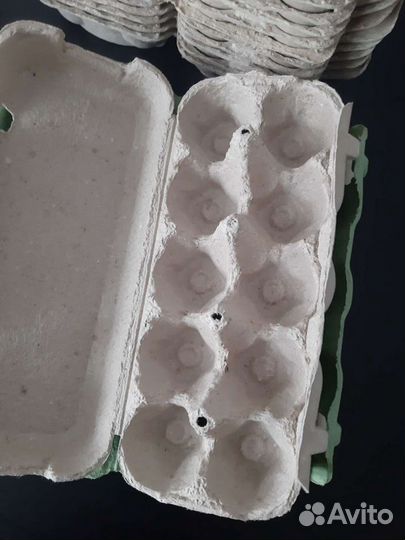 Упаковка для яиц