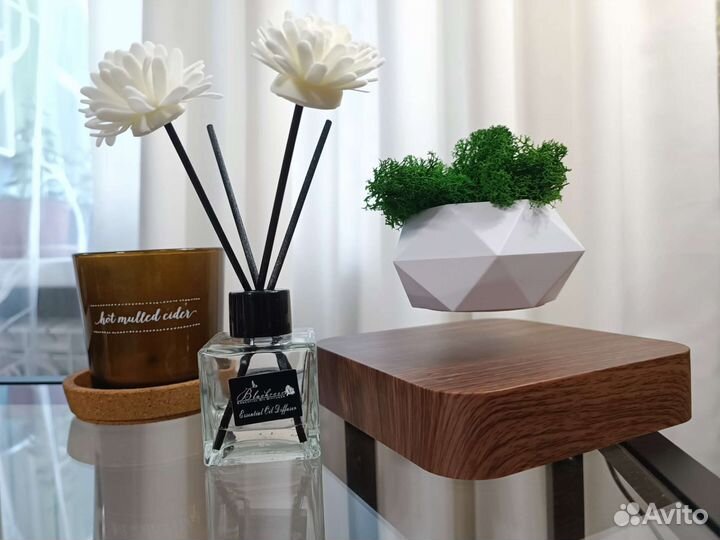 Левитирующий горшок