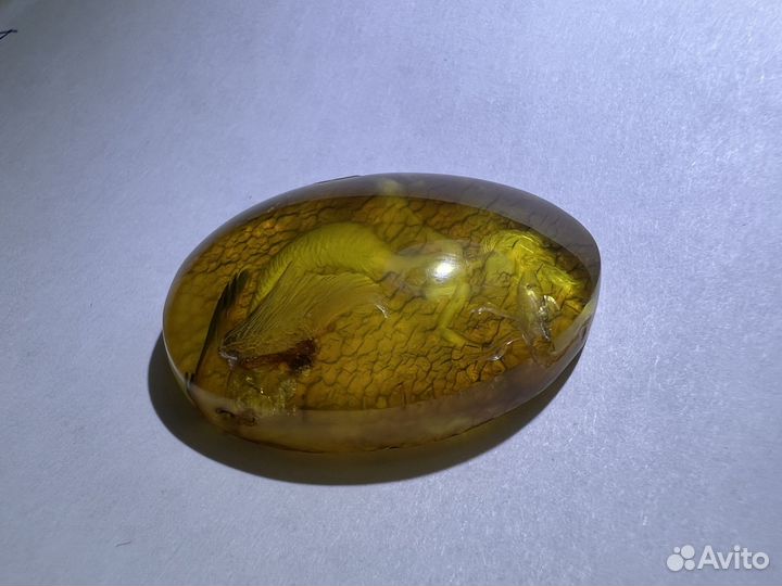 Инталия образа русалки из балтийского янтаря