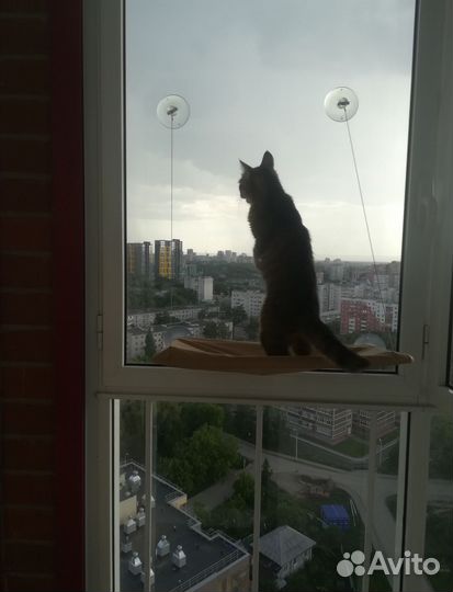 Лежанка для кошек на окно. Новая