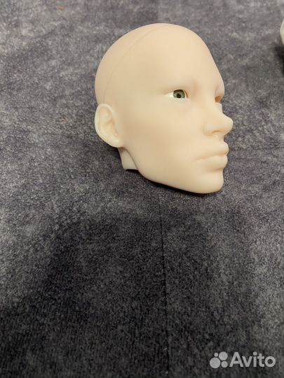 Голова бжд 1/3