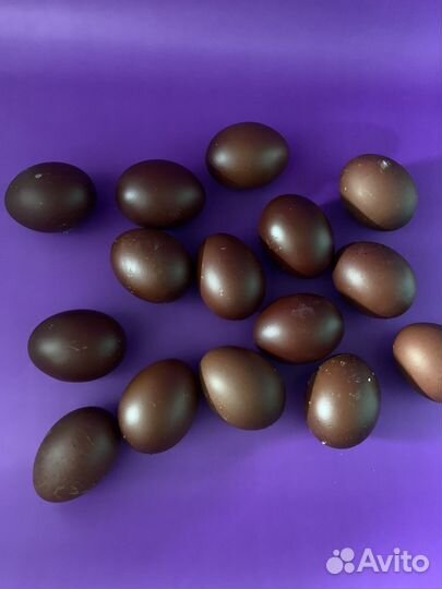 Инкубационное Яйцо Маран Черно Медный