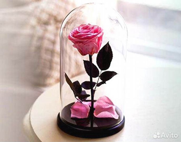 Роза в колбе