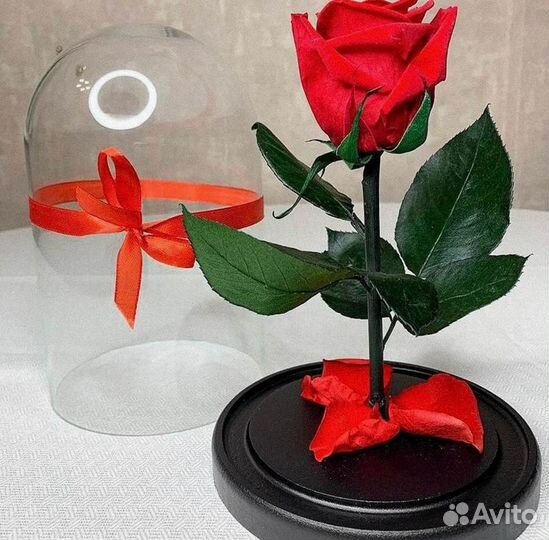 Роза в колбе. Любые размеры