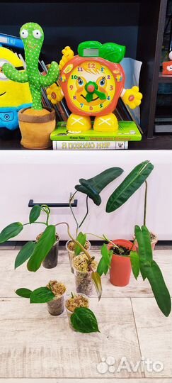 Подарки сувениры