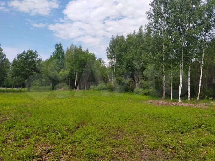 Участок 15 сот. (СНТ, ДНП)