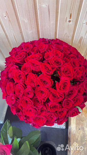 Розы красные